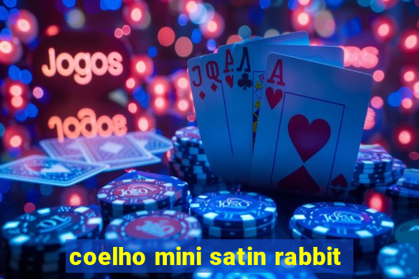 coelho mini satin rabbit